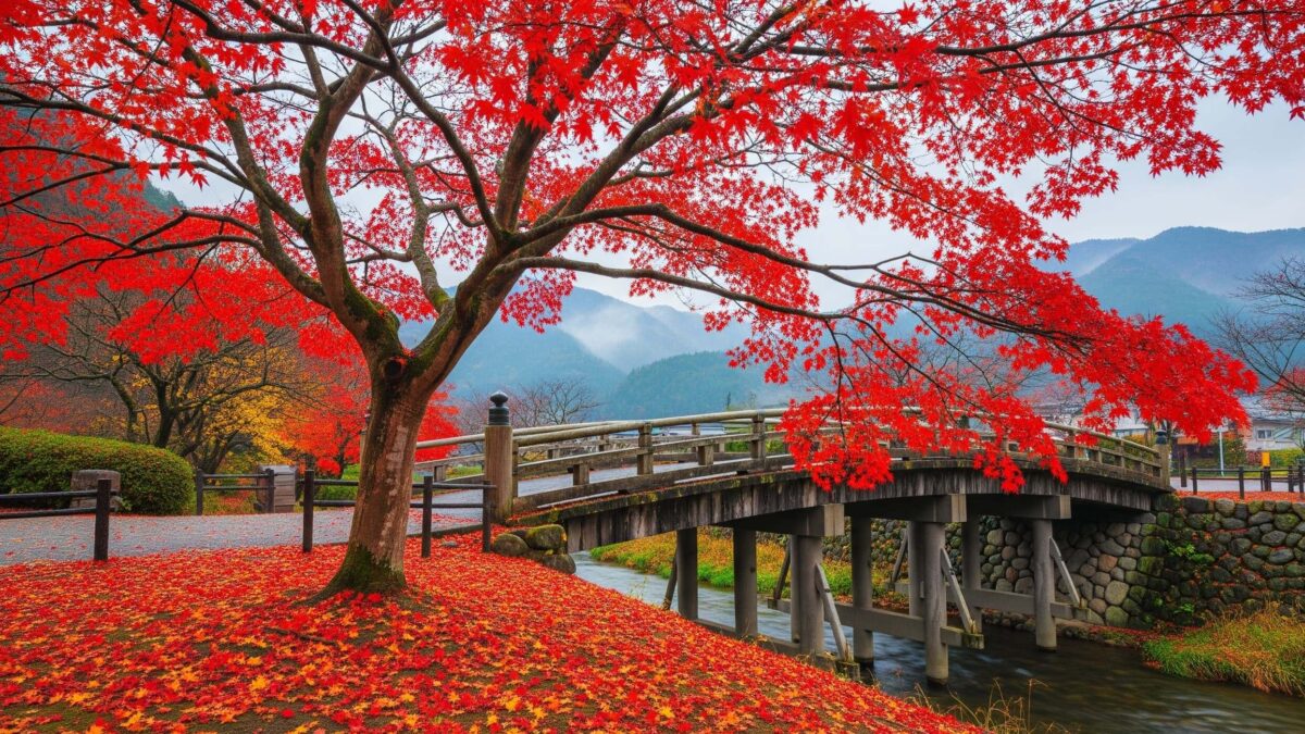 Japońskie 'momijigari': Gdzie podziwiać jesień z dala od tłumów w Kioto?