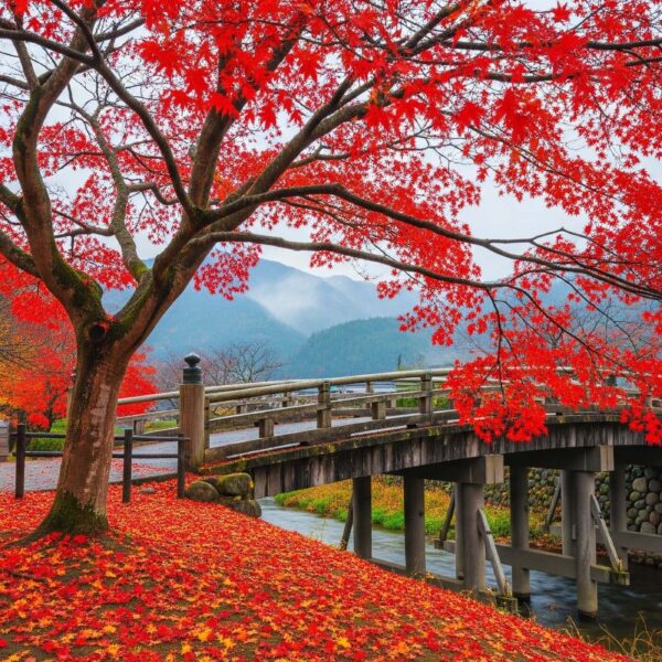 Japońskie 'momijigari': Gdzie podziwiać jesień z dala od tłumów w Kioto?