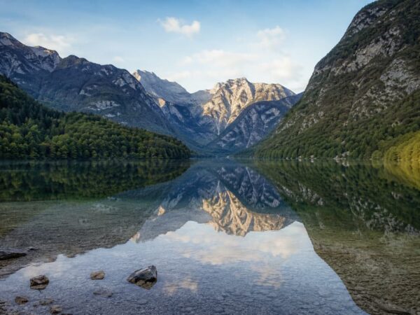Jeziora Bohinj